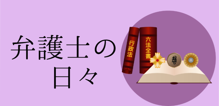 cook 今日なに作ろ？